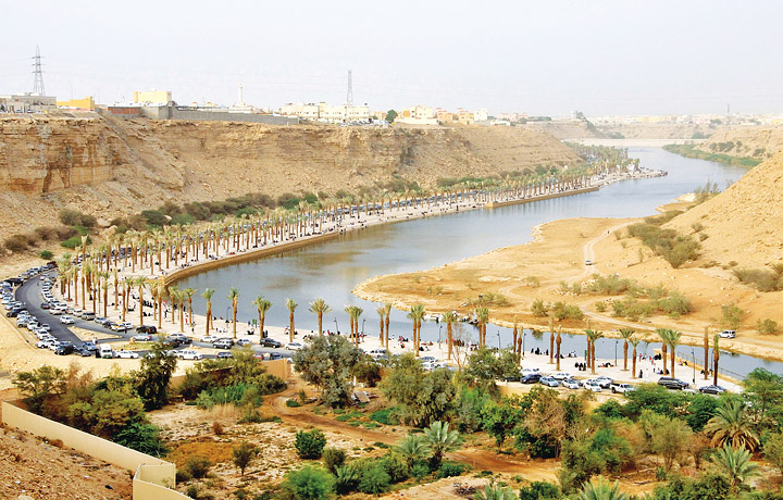وادي حنيفة