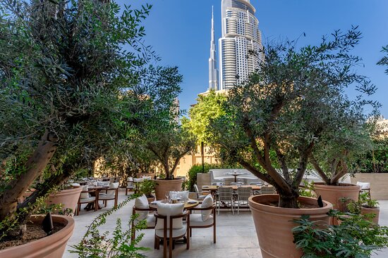 مطعم دومو دبي